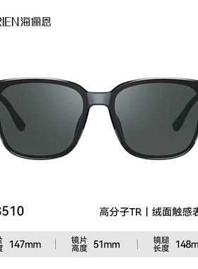海俪恩绒面墨镜明星同款经典gm大框素颜显瘦太阳镜男女款夏N8510