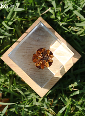 植物标本亚克力桌面摆件定制