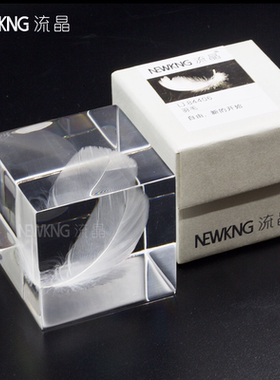 植物立方体标本亚克力桌面摆件