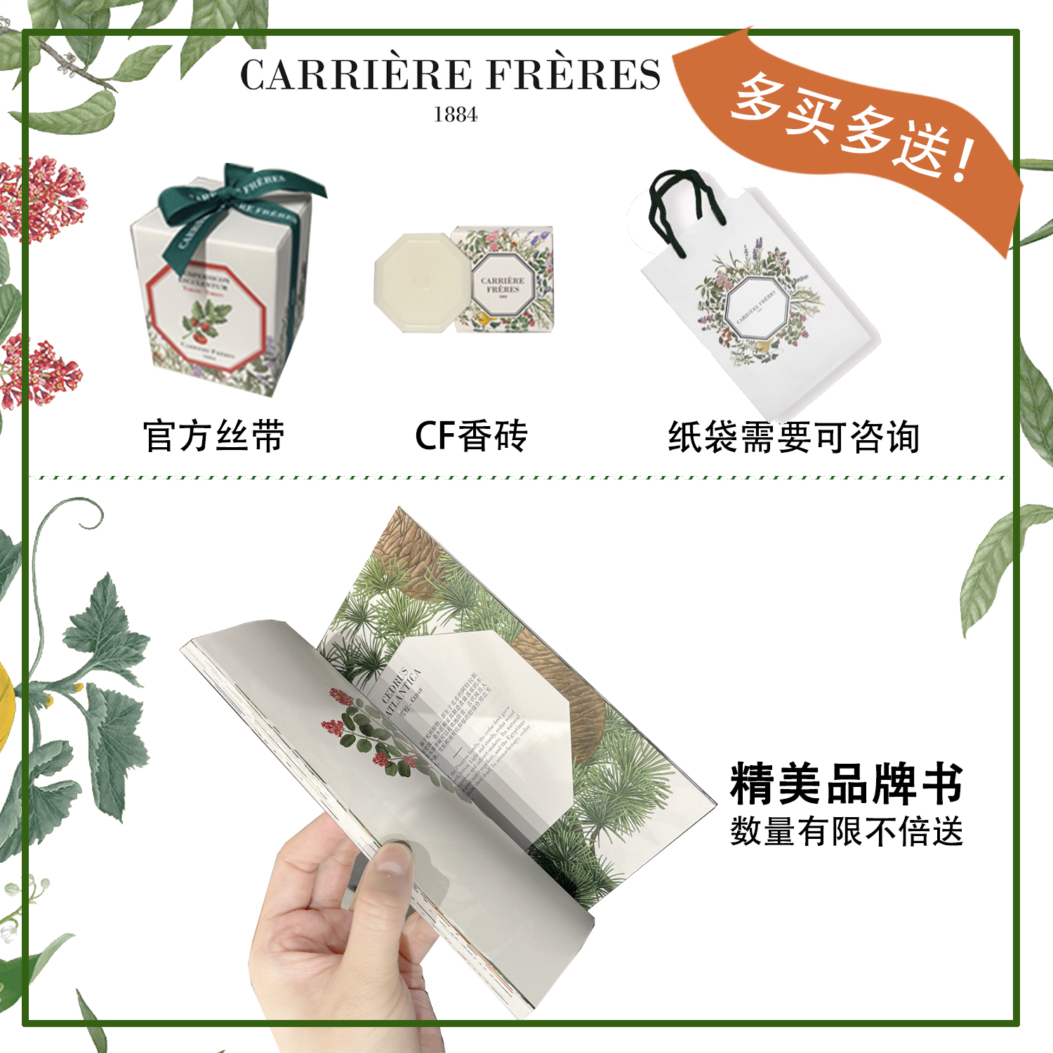 cf植物学家carriere freres宝石山下香氛蜡烛薄荷玫瑰香薰蜡烛-图0