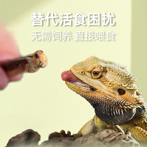 保鲜冻干面包虫蟋蟀爬虫守宫蜥蜴仓鼠龙鱼刺猬食物乌龟非活体饲料 - 图1