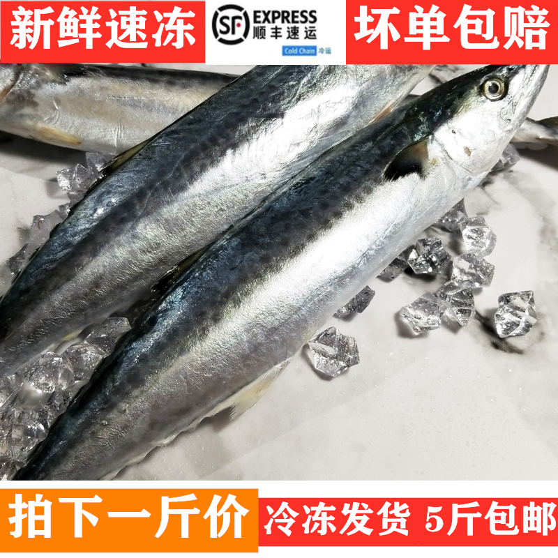 新鲜速冻海鲜深海捕捞大鲅鱼马鲛鱼燕鲅海鱼自制鱼丸非咸鱼干 - 图0