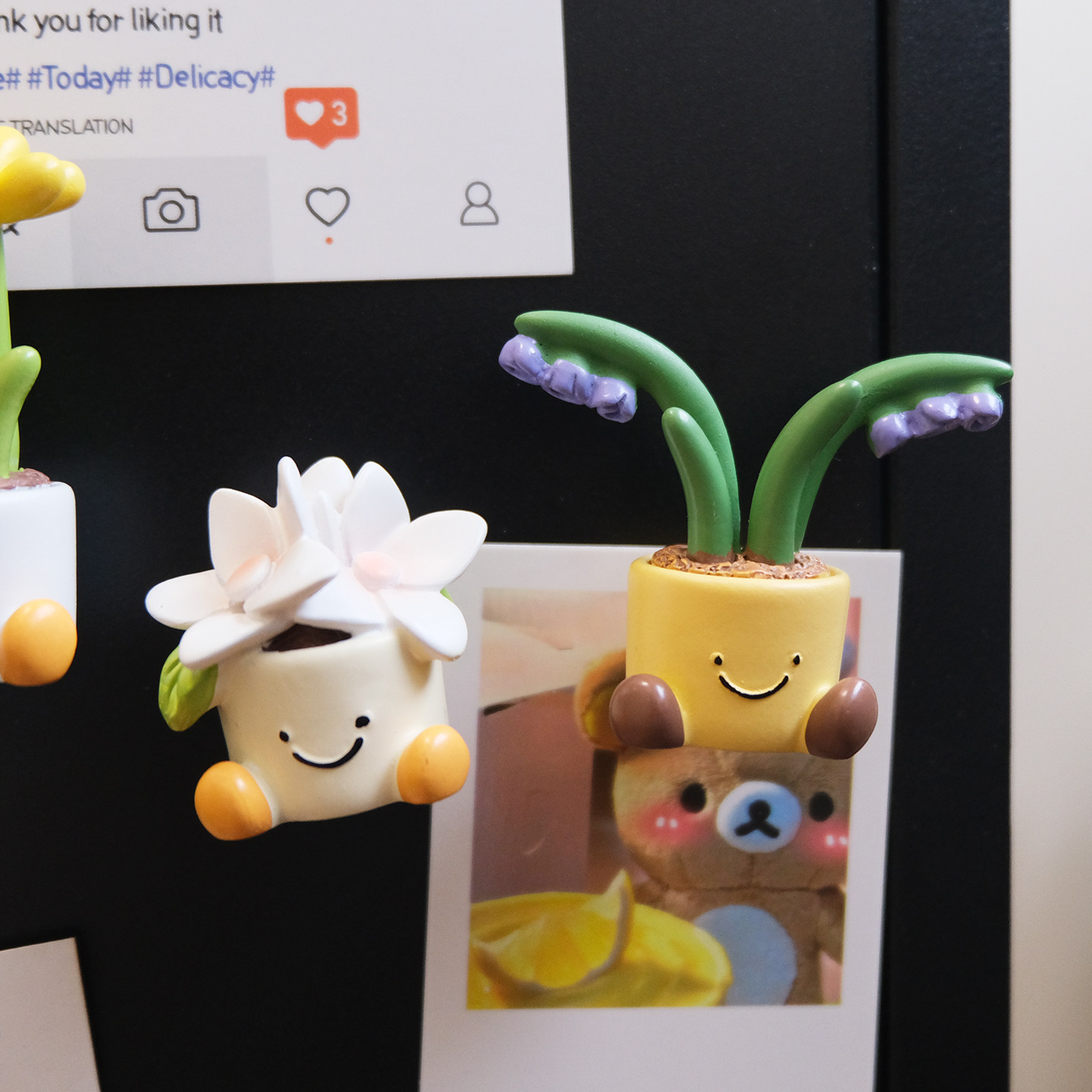 韩国可爱花朵盆栽冰箱贴磁贴2026新款创意洞洞板装饰展示磁吸摆件,淘宝优惠券,粉丝福利购,淘宝优惠卷