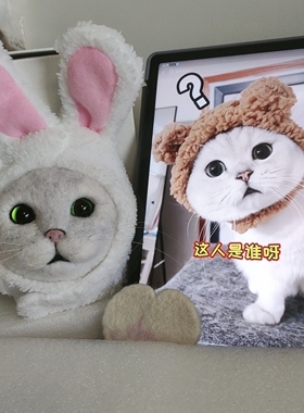 羊毛毡手工定制猫猫成品 仿真纪念全头像款 复活宠物狗狗猫铺毛款