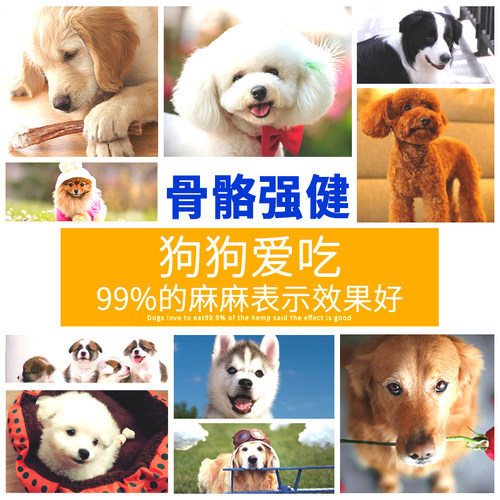 靓贝狗粮 亮毛型幼犬粮5kg 无泪痕狗粮全犬种包邮 泰迪金毛超爱吃 - 图2