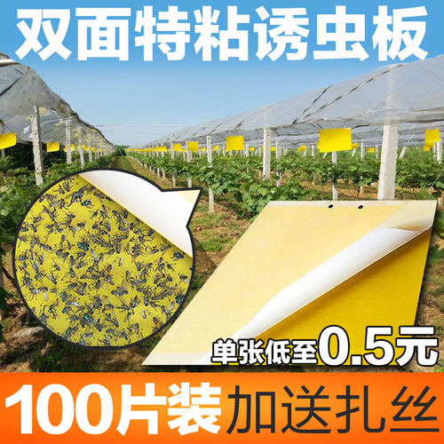 黄色粘虫板黄板双面诱虫板包邮果园飞虫粘虫蓝板黏虫板大棚防虫板 - 图3