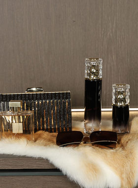 衣帽间装饰品轻奢风衣服首饰摆件