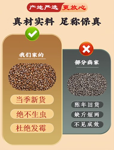 熟决明子散装正品炒决明子枕全填充枕芯婴儿儿童宝宝大人全纯炒熟 - 图1