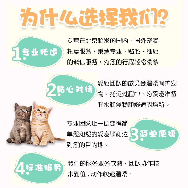 北京广州成都等到全国宠物托运代办航空铁路狗狗猫猫随机运输-图0