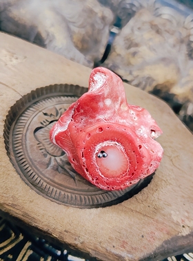 手作设计款“沧海遗珠”项链吊坠孤品！用的天然海竹+岫玉