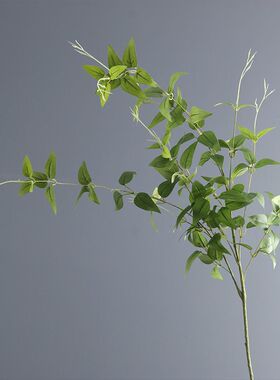 仿真植物 铁线莲叶子 绿色 叶材 手捧花配材 花艺 造景 家居 装饰
