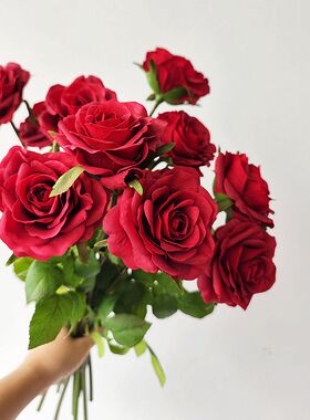 星玫瑰手捧中国保湿枝红色手感1