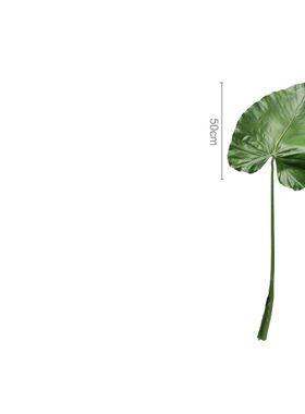 仿真植物海芋大叶子PU
