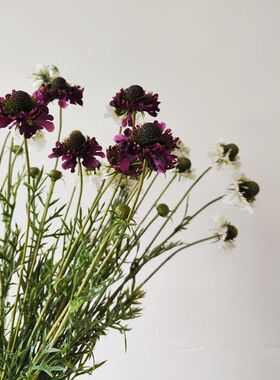 仿真花松虫草假花客厅高级感插花摆件轮峰菊花绢花装饰品插花摆设