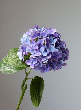 3D打印新款紫色贵妃绣球假花手感仿真花家居样板房摄影装饰带果