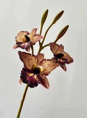 网红卡特兰仿真花假花盆栽室内桌面摆件轻奢复古客厅装饰假植物