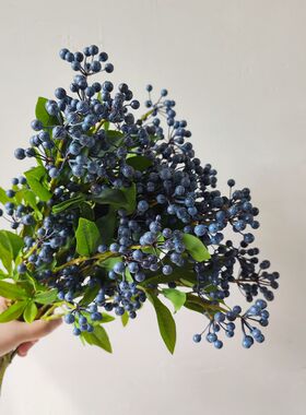 仿真蓝莓果浆果假水果假花艺术插花摄影拍摄道具单枝小果水果树枝
