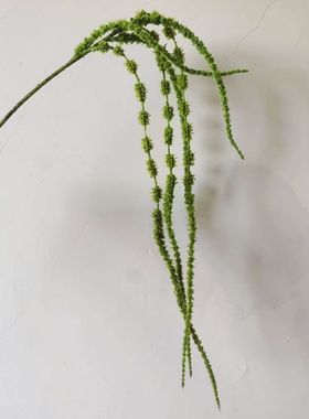 仿真植绒垂藤长尾苋绿植壁挂 家居装饰 情人泪假花摆件植物跨境