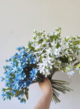 仿真胶枝蓝星花婚庆礼堂装饰家居客厅摆件装饰高端花束摄影道具