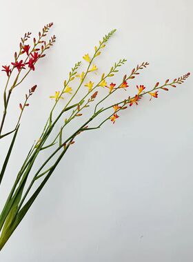 仿真带叶火焰兰假花兰花样板房