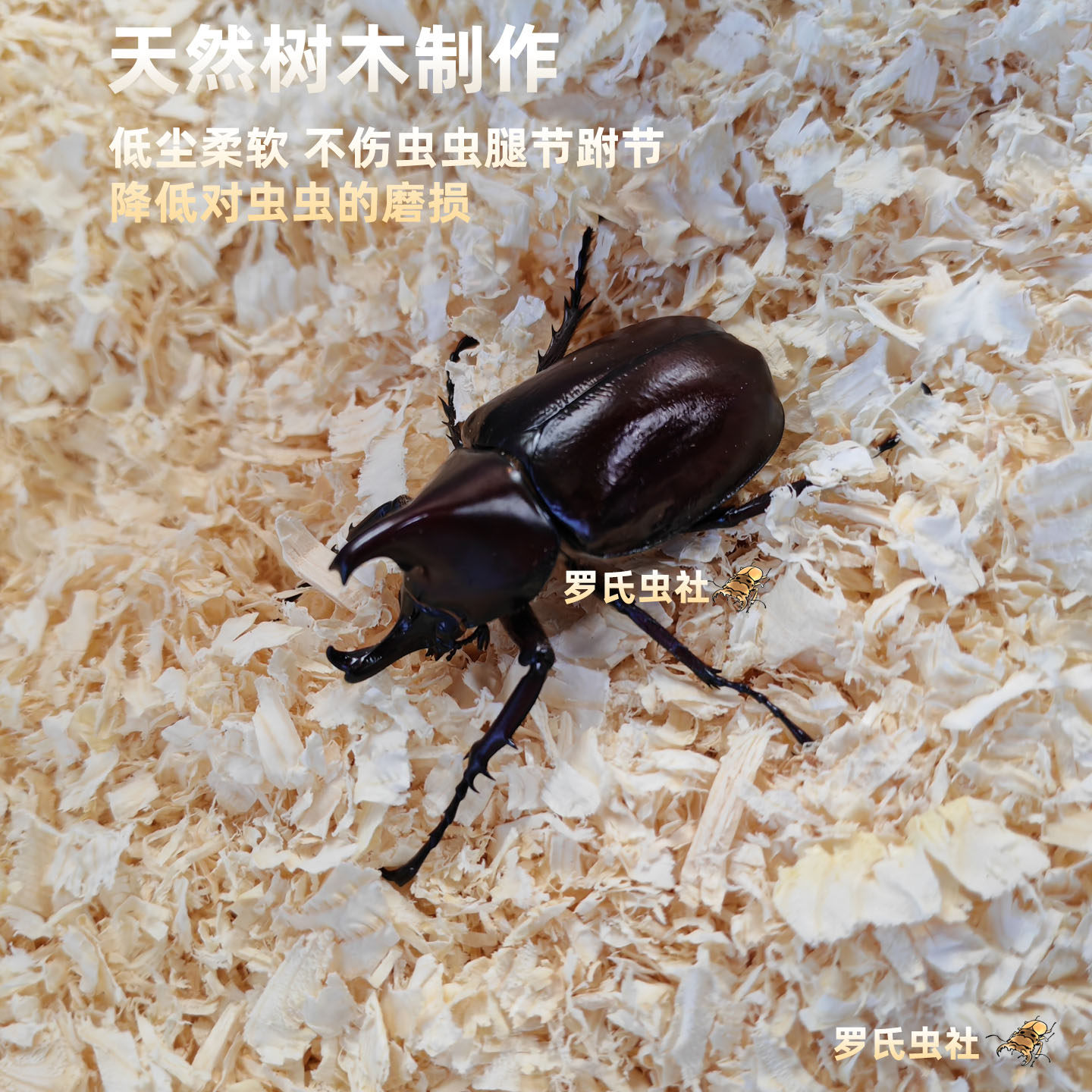 甲虫成虫垫材木屑独角仙兜虫锹甲花金龟保湿垫材除臭宠物昆虫饲养,淘宝优惠券,粉丝福利购,淘宝优惠卷