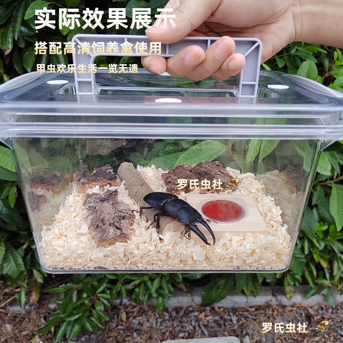 甲虫成虫垫材木屑独角仙兜虫锹甲花金龟保湿垫材除臭宠物昆虫饲养,淘宝优惠券,粉丝福利购,淘宝优惠卷