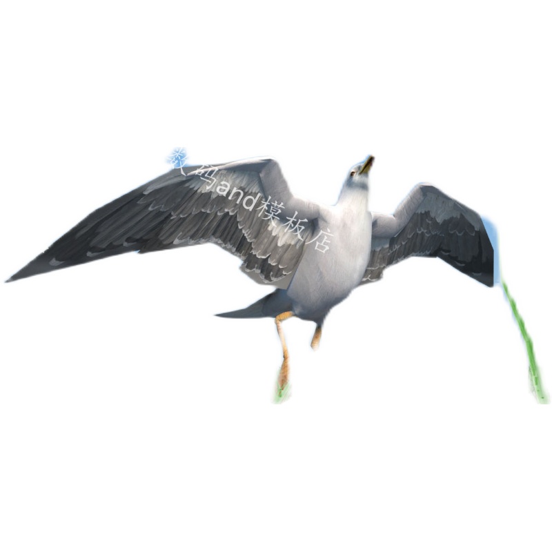海鸥3d模型动画海鸥模型素材obj,fbx,maya海鸥 3dsmax海鸥c4d海鸥 - 图3