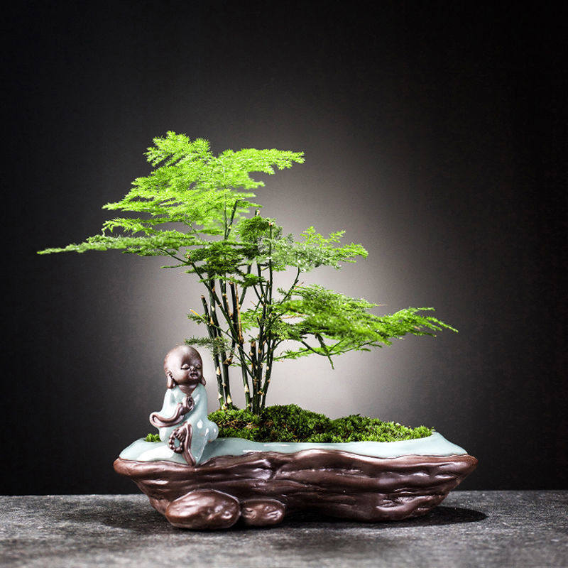 新款创意绿植陶瓷文竹多肉水培盆栽花盆新中式家居礼品花器小摆件,淘宝优惠券,粉丝福利购,淘宝优惠卷