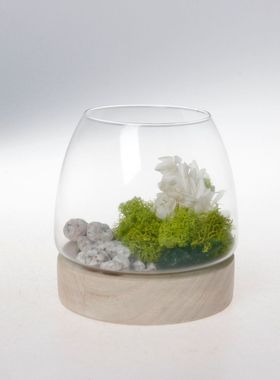 定制微景观植物生态玻璃瓶鱼缸微景观diy生态瓶瓶多肉苔藓瓶