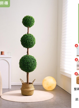 仿真绿植造景北欧客厅电视柜旁落米兰盆栽假富贵竹地球型摆件