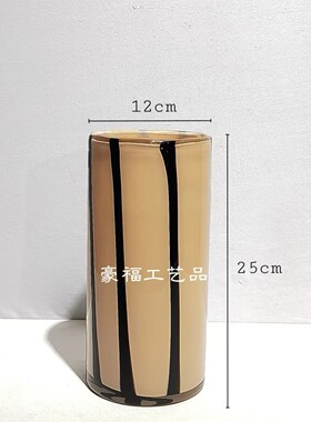 北欧创意黑色条纹玻璃花瓶摆件家居样品餐厅房桌面软装设计