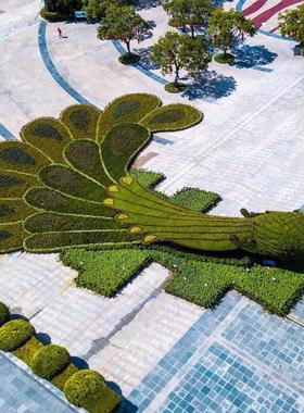 仿真绿雕大型动物绿植园林景观设计植物造型雕塑创意户外造型雕塑