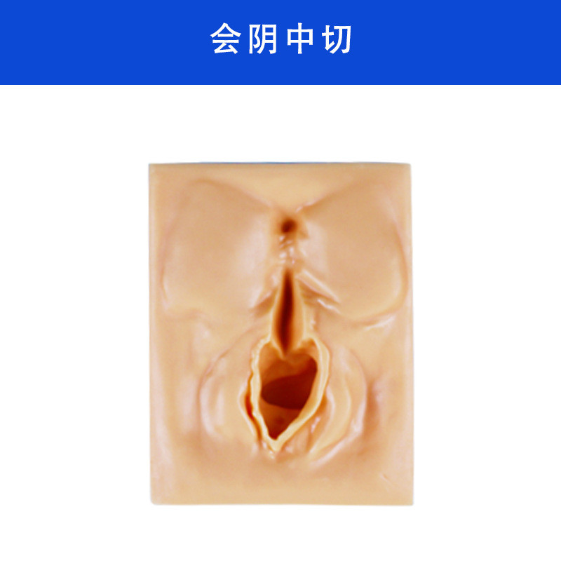 高级模型缝合练习模型会阴切口缝合练习外阴外阴切开缝合模型 - 图0