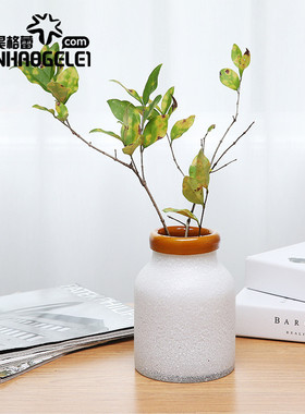 天昊格蕾手工北欧风小清新玻璃花瓶酒店客厅餐厅书架卧室水培花器