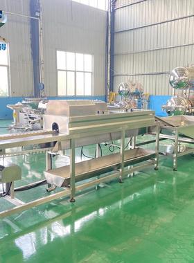 大型蛋厂单排洗蛋机 养殖场鸡鸭蛋去泥机 裹泥蛋清洗烘干流水线