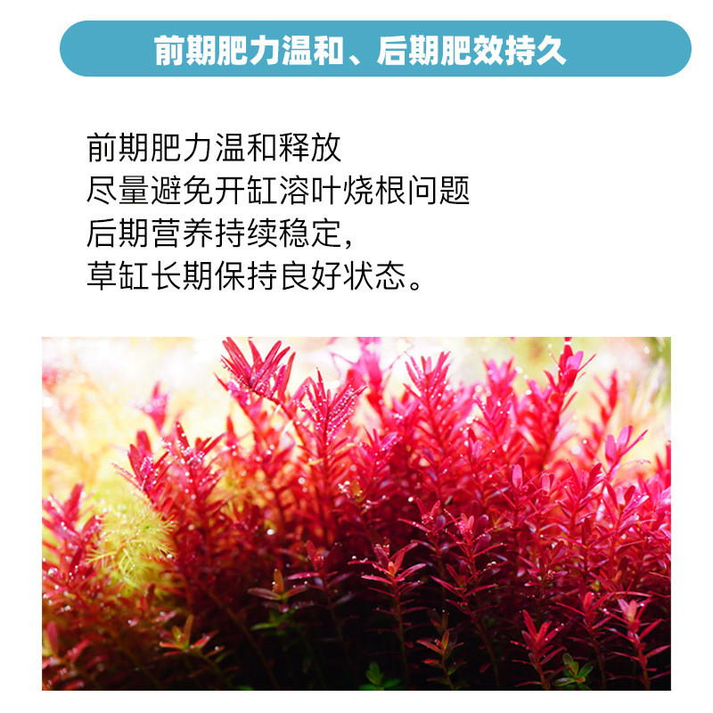 魔点水草泥鱼缸专用底长效专业草缸造景水草泥基肥料砂肥力不粉化 - 图3