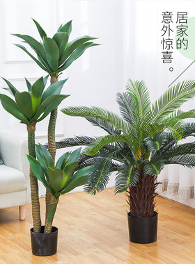 仿真绿植盆景热带风沙漠龙舌兰室内酒店造景装饰落地假植物盆栽