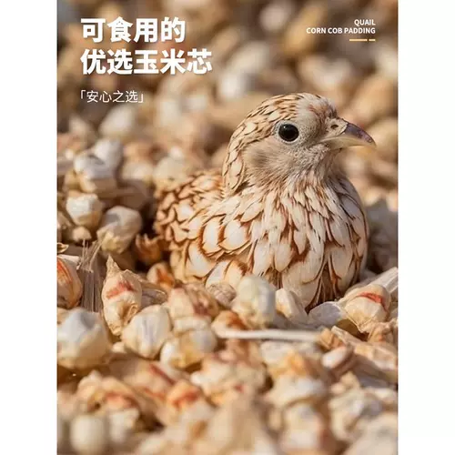 Разрушивание куриного подушечника Ферментированное кровать питомец дезодорирование орехового песчаного ядра ингредиенты