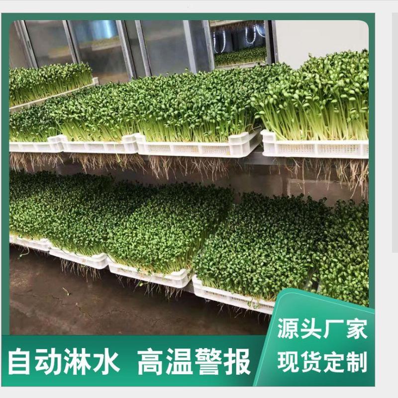Hot selling Guangxi fully automatic bean sprout machine manufacturer large bean sprout box type soybean sprout machine mung bean sprout machine manufacturer