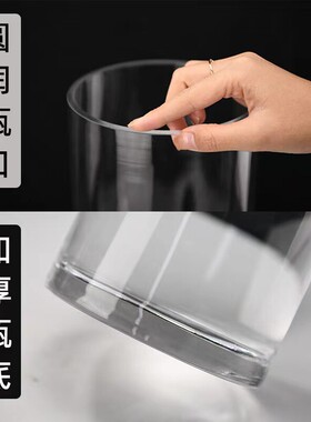 花瓶支持花瓶摆件客厅透明玻璃瓶马醉木水养宽口富贵竹