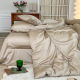 Light luxury style 60-piece Tianshi four-piece set summer double-sided ice silk naked sleeping embroidered quilt cover bed sheets bedding