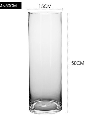 花瓶摆件客厅插花水养玻璃瓶透明马醉木富贵竹宽口水培器皿大