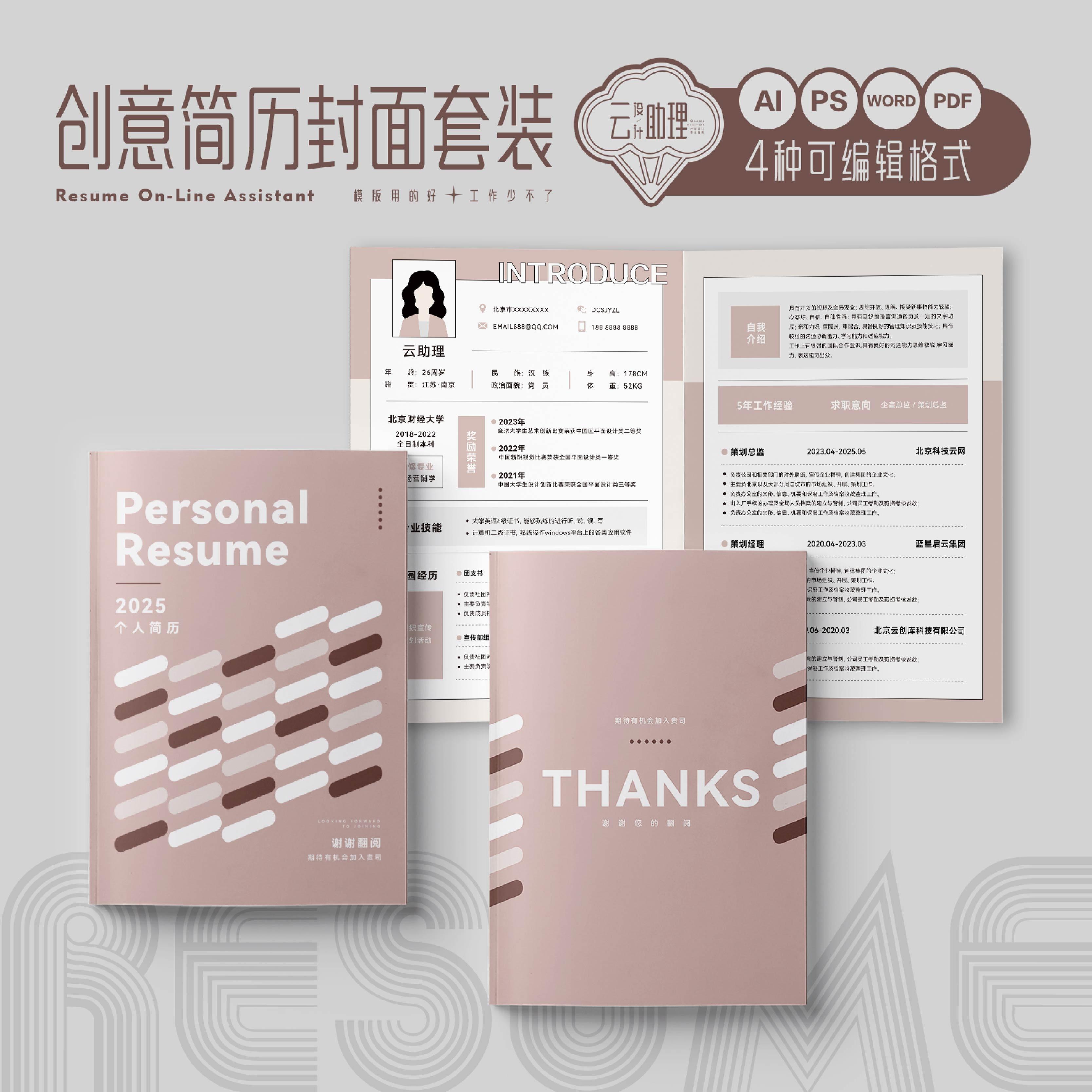 青春系列自荐书创意简历毕业求职PDF模版AI/PS文件可编辑Word文档