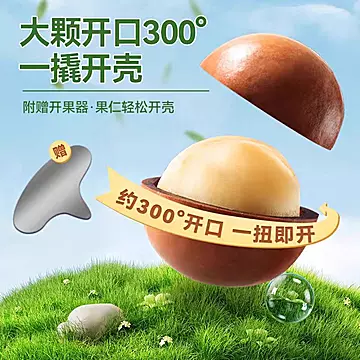 省心推！奶香味坚果夏威夷果500g[7元优惠券]-寻折猪