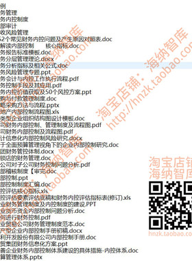 企业内部控制全套资料内控财务风险管理审计模板手册实施细则制度