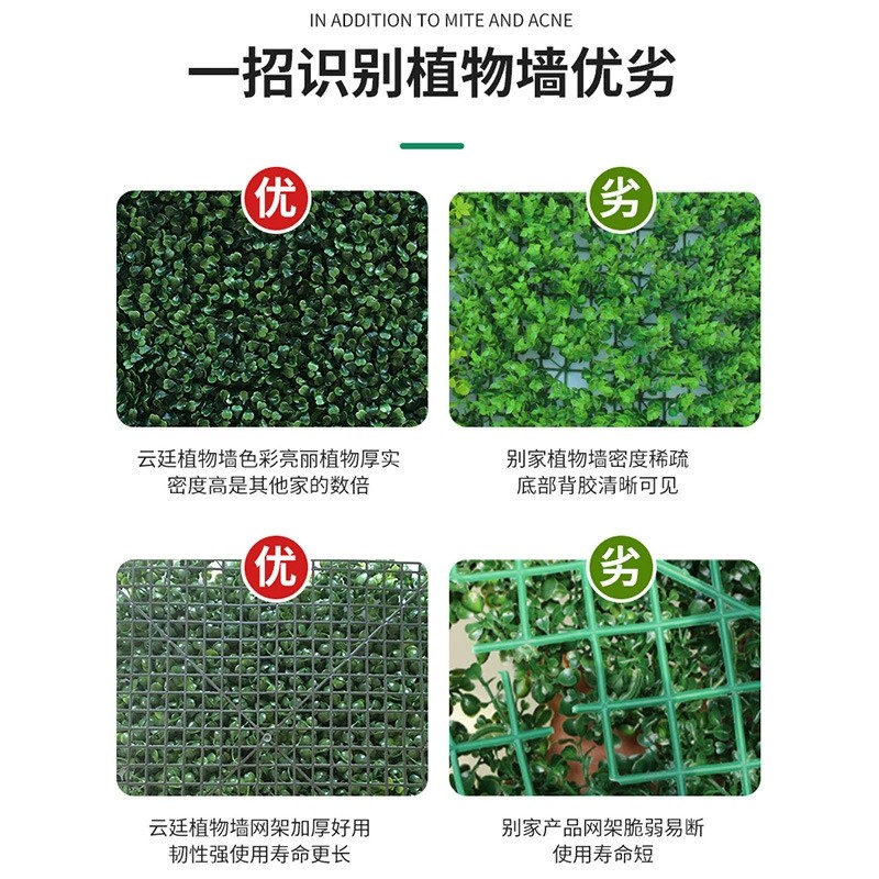 厂家直供防晒仿真植物墙背景墙面装饰深绿米兰叶草坪塑料假绿植墙 - 图2