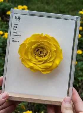 格格物花界厄瓜多尔鲜花永生花