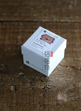 日本sola正品蜡菊植物毕业永生花