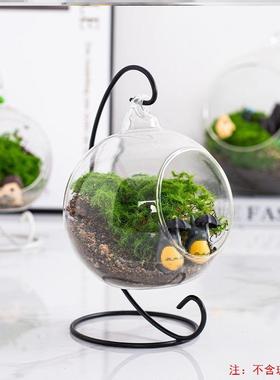 苔藓生态瓶DIY固定器吊瓶悬挂式绿植铁架子绿萝架子微景观支架