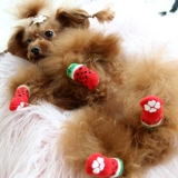 13 -летний магазин четыре размера носков и носков для любителей собак, анти -пышные туфли для кошек, кошачьи носки, чтобы предотвратить щенки Тедди Корки Фа.